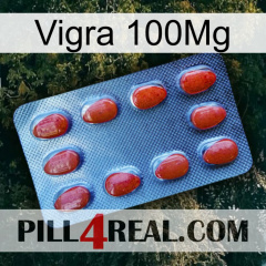 Vigra 100Mg 06